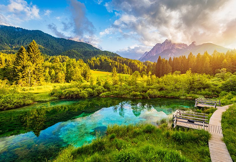 Zelenci meren bij Kranjska Gora in Slovenië