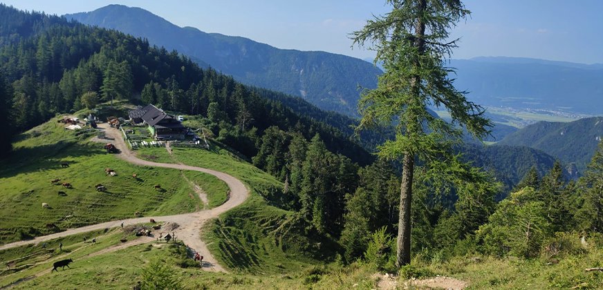 Koča na planini prevala bij Begunščica en Ljubelj dichtbij Tržič in de Karawanken van Slovenië