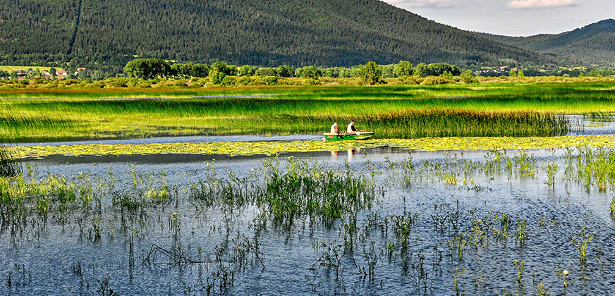Cerknica meer