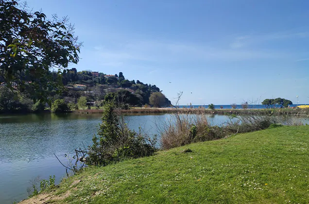 meertje bij camping fiesa aan de adriatische kust in Slovenië