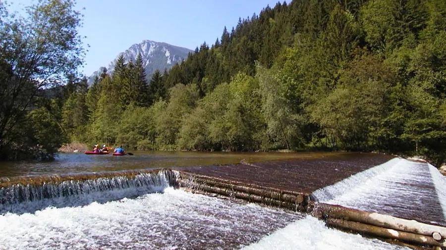 de savinja rivier in de kamnische alpen van noord Slovenië