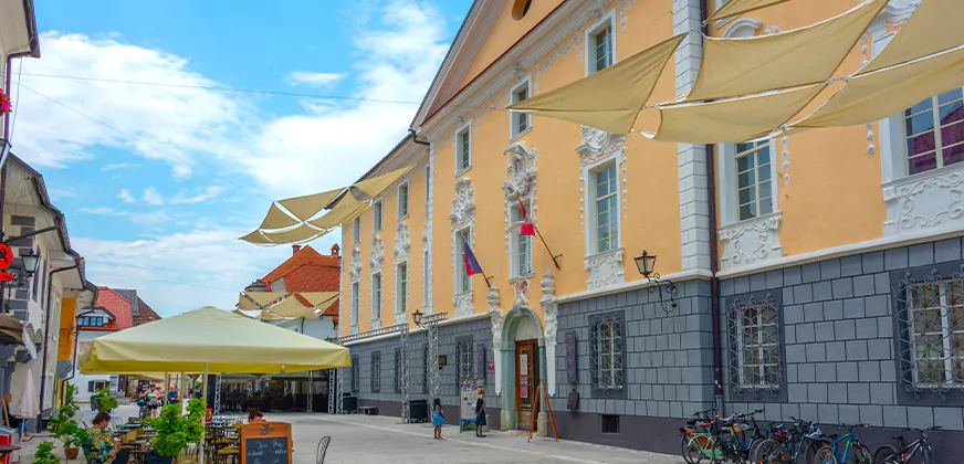 Het bijenmuseum in het Radovljiška graščina van Radovljica in het Noordwesten van Slovenië aan de rand van het Triglav Nationaal Park
