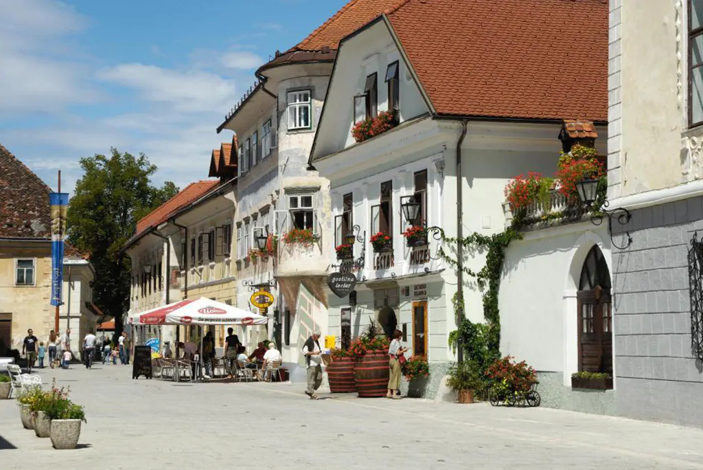 Pension Lectar Guest House met het gingerbread museum van Radovljica in het Noordwesten van Slovenië aan de rand van het Triglav Nationaal Park